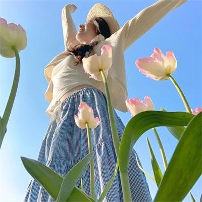 颚骨