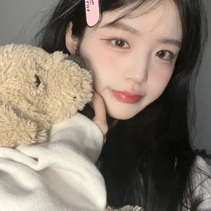 狮子军龙虎鬪 海报